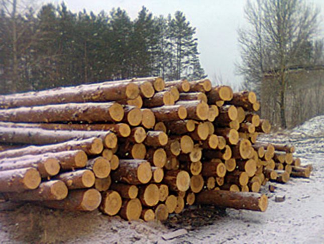 Купить, заказать беседку из дерева в Беларуси